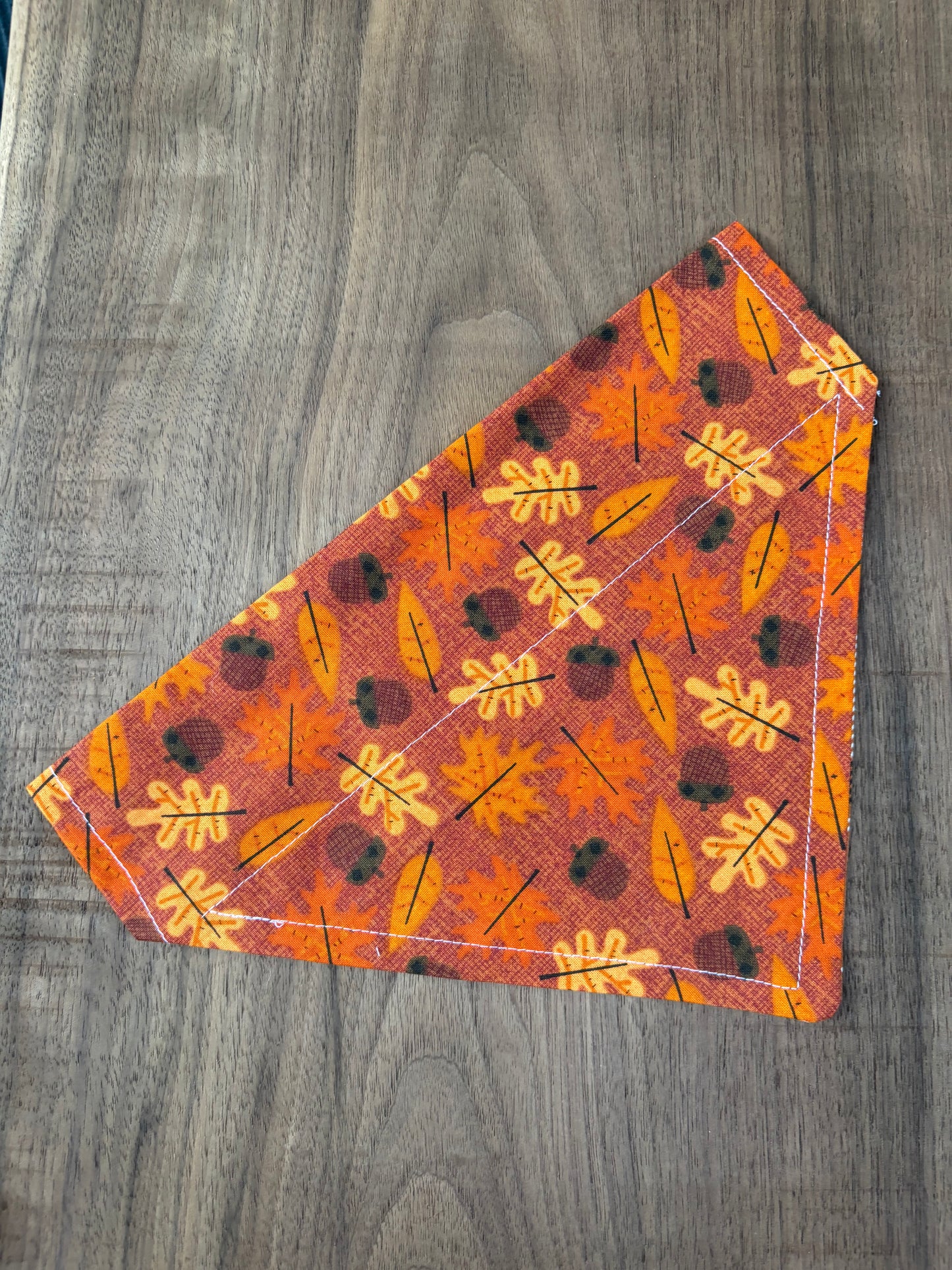 Last Chance Medium Fall Bandanas