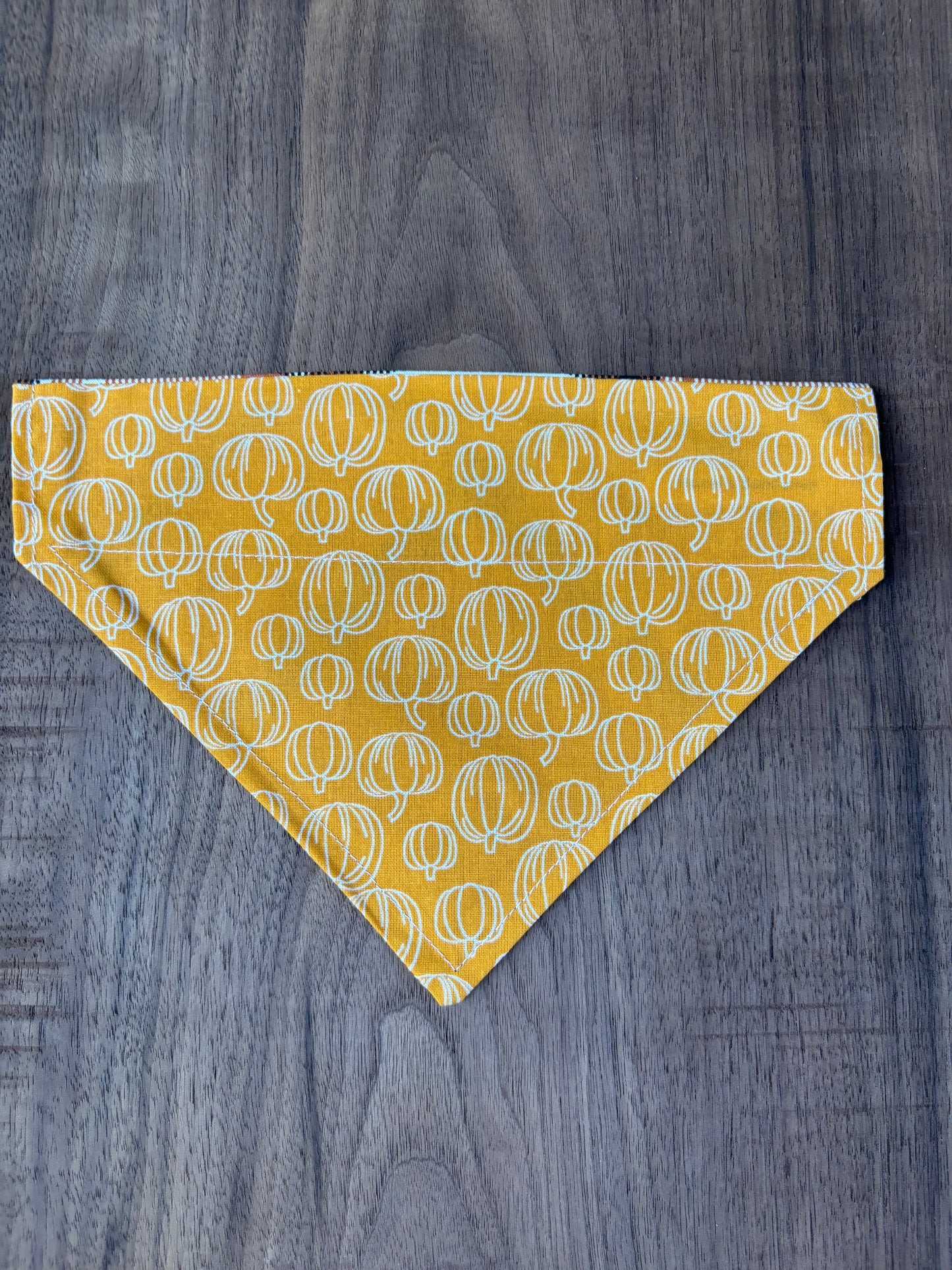 Last Chance Small Fall Bandanas