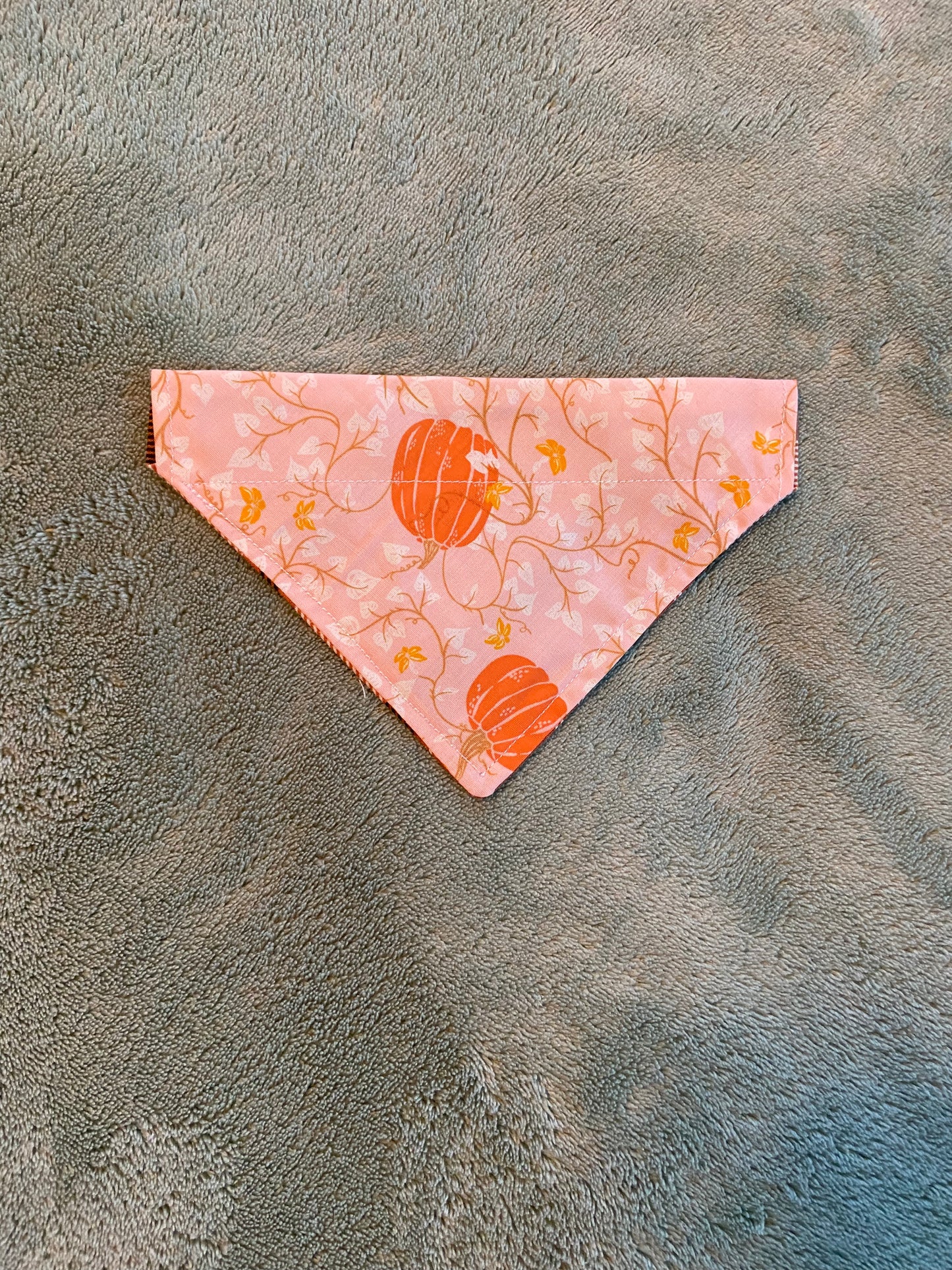 Last Chance Fall XS bandanas