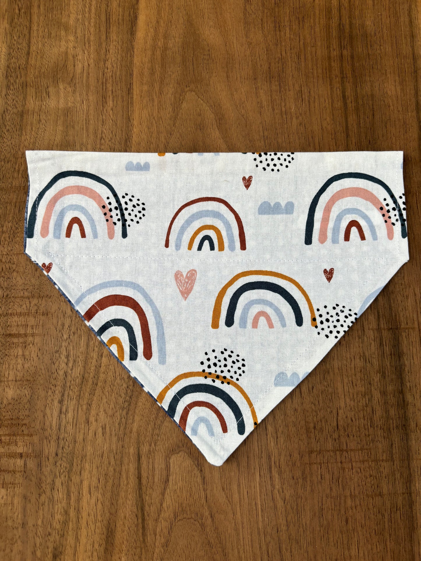 Medium Assorted Bandanas