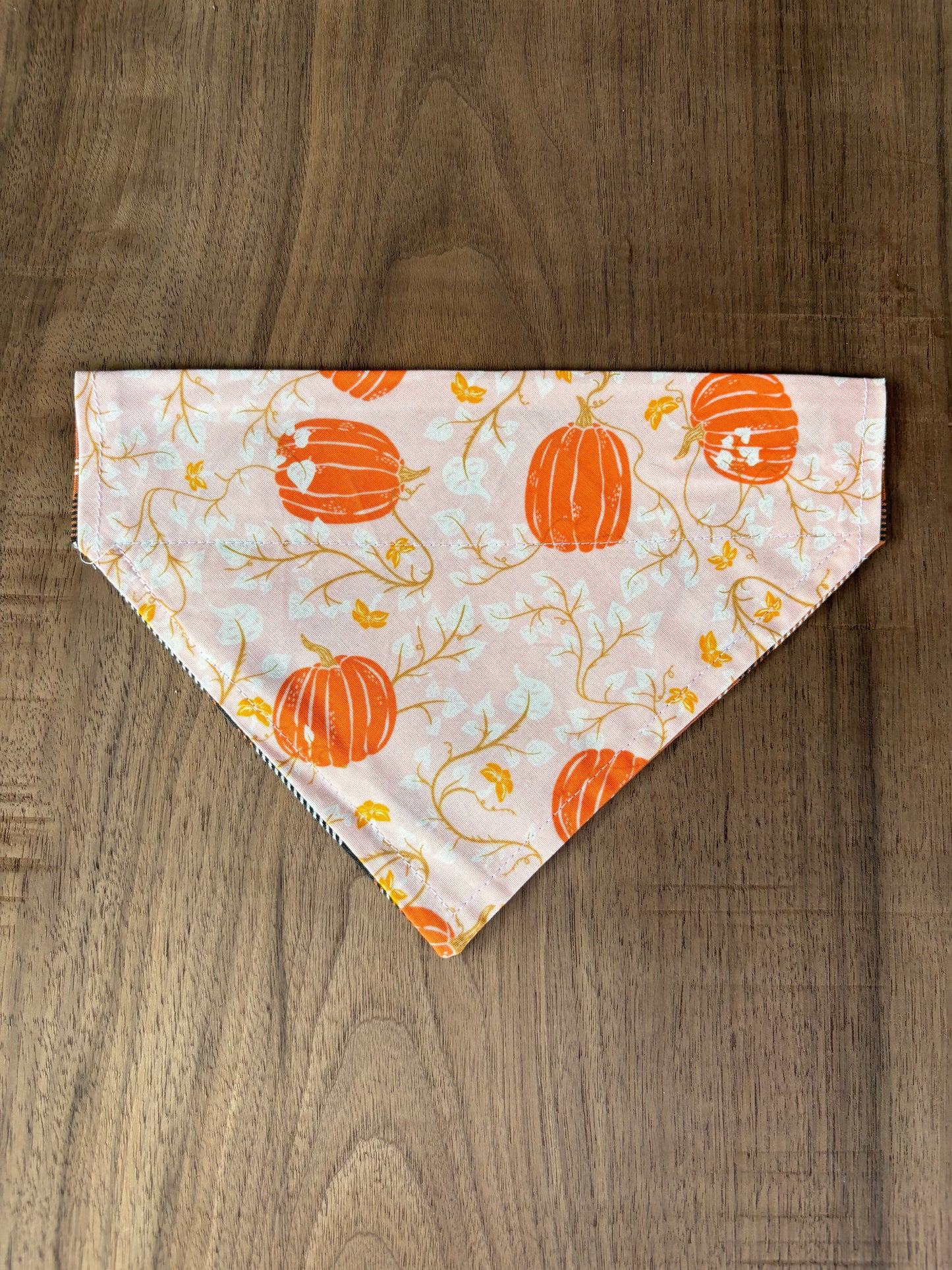 Last Chance Small Fall Bandanas