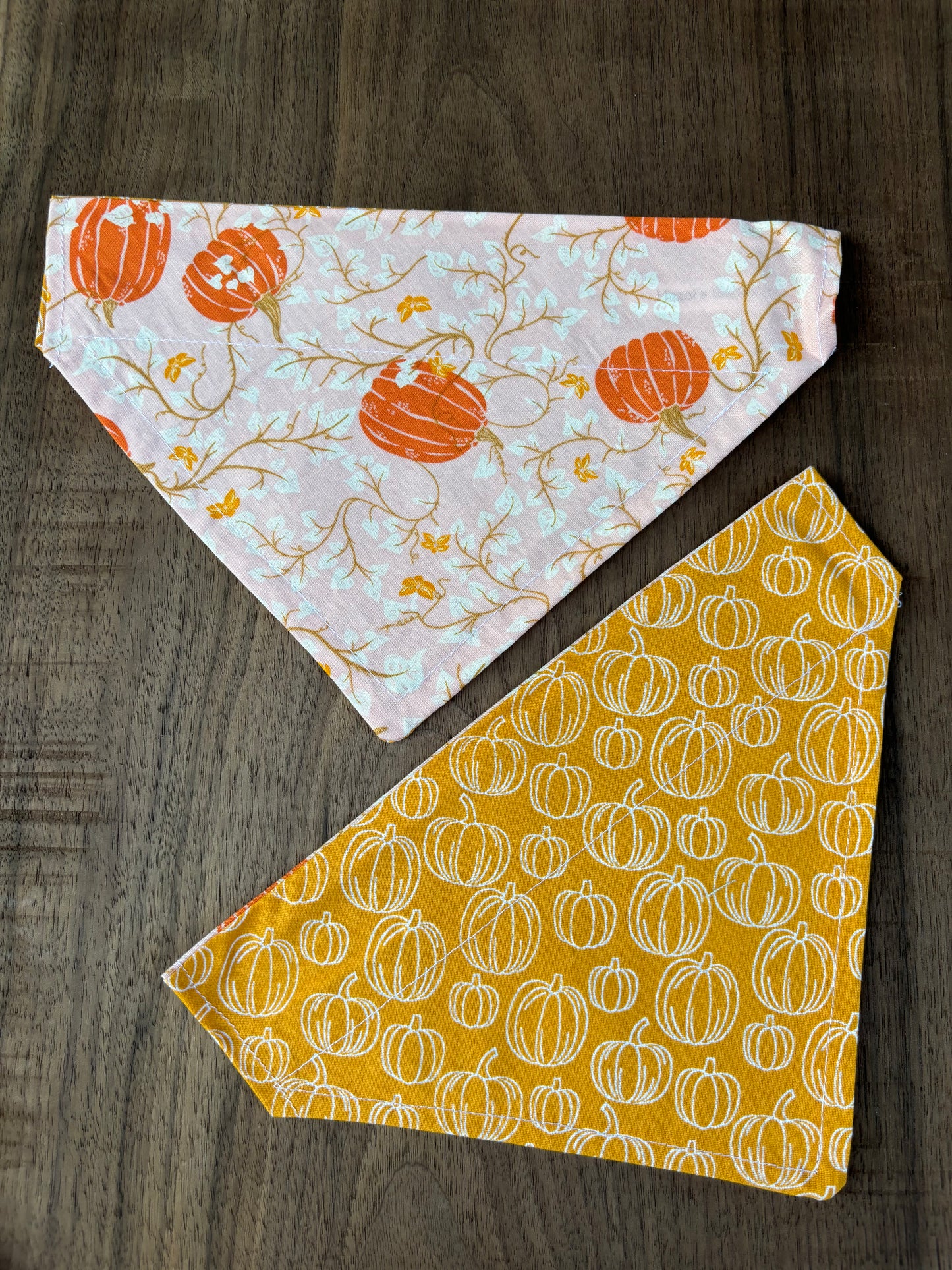 Last Chance Small Fall Bandanas