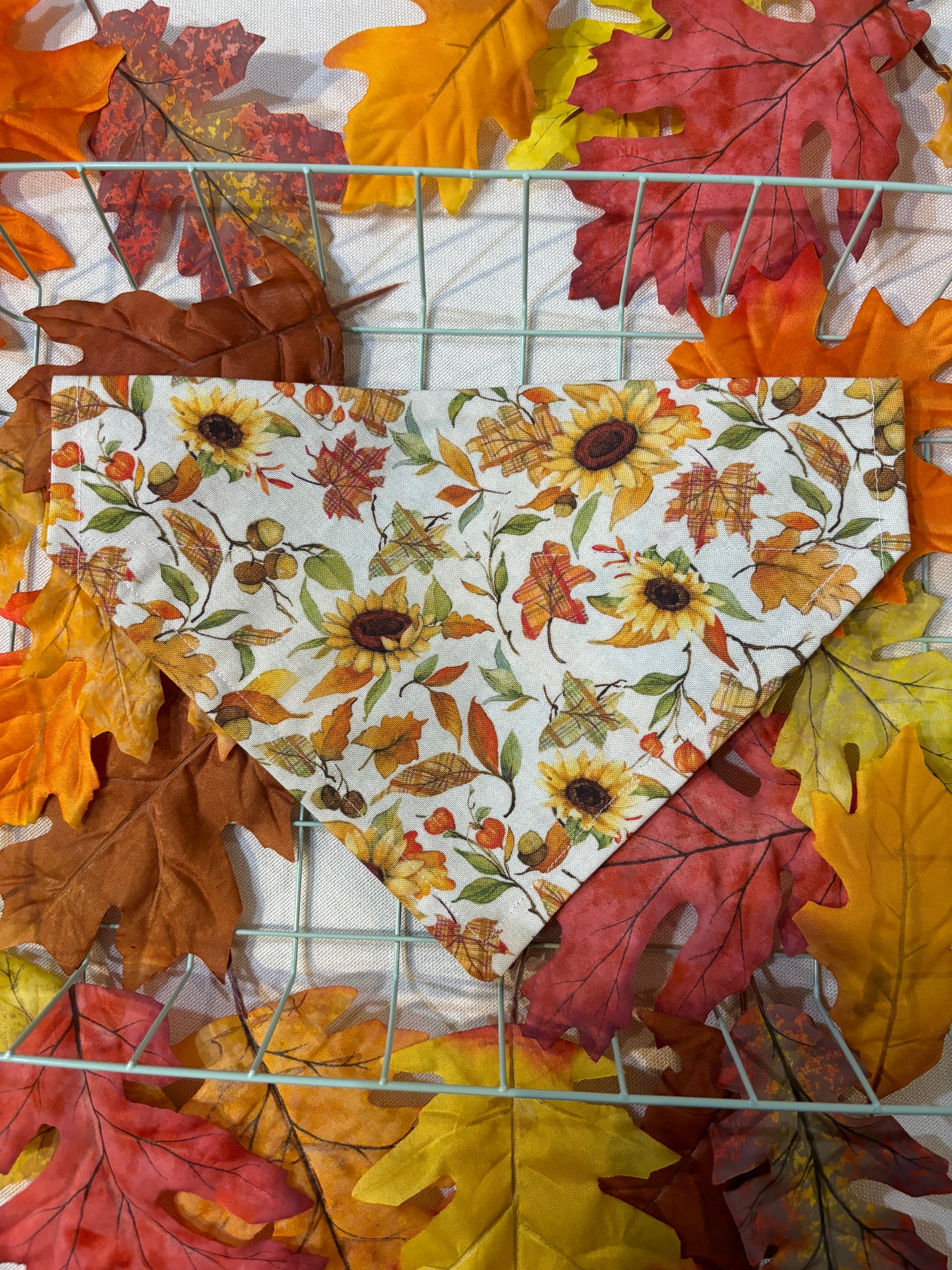 🌻Sunflower Patch Bandanas