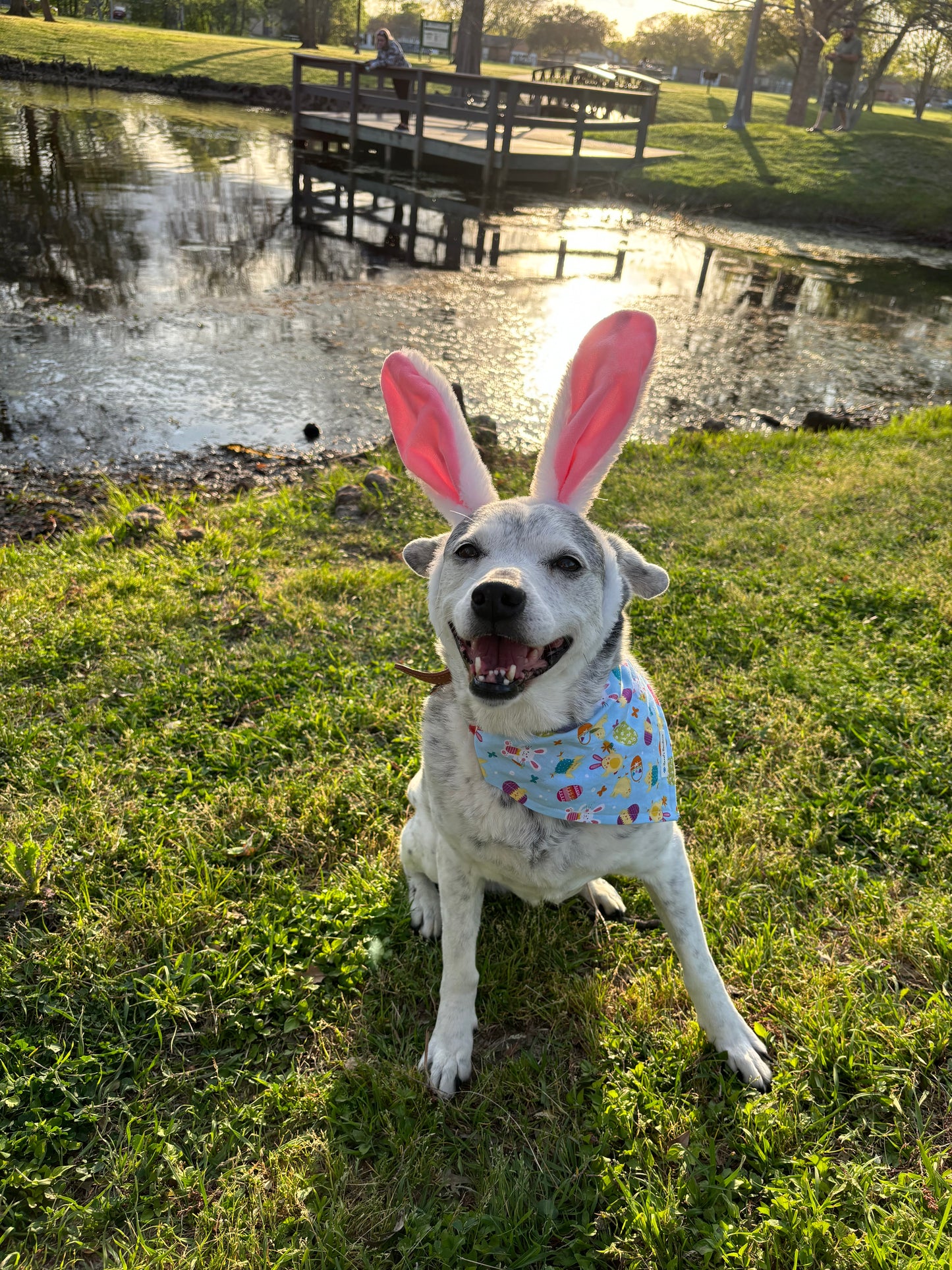 Easter chic w/ gingham