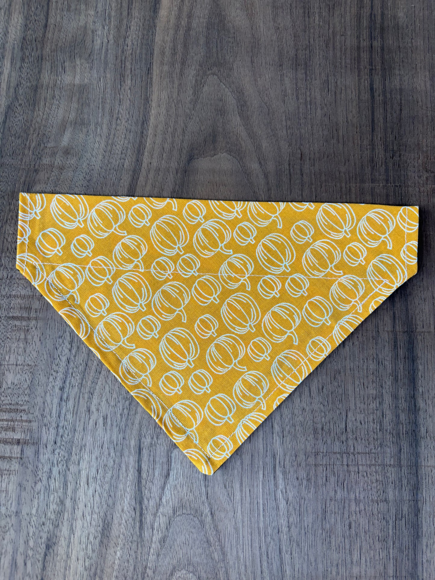 Last Chance Small Fall Bandanas