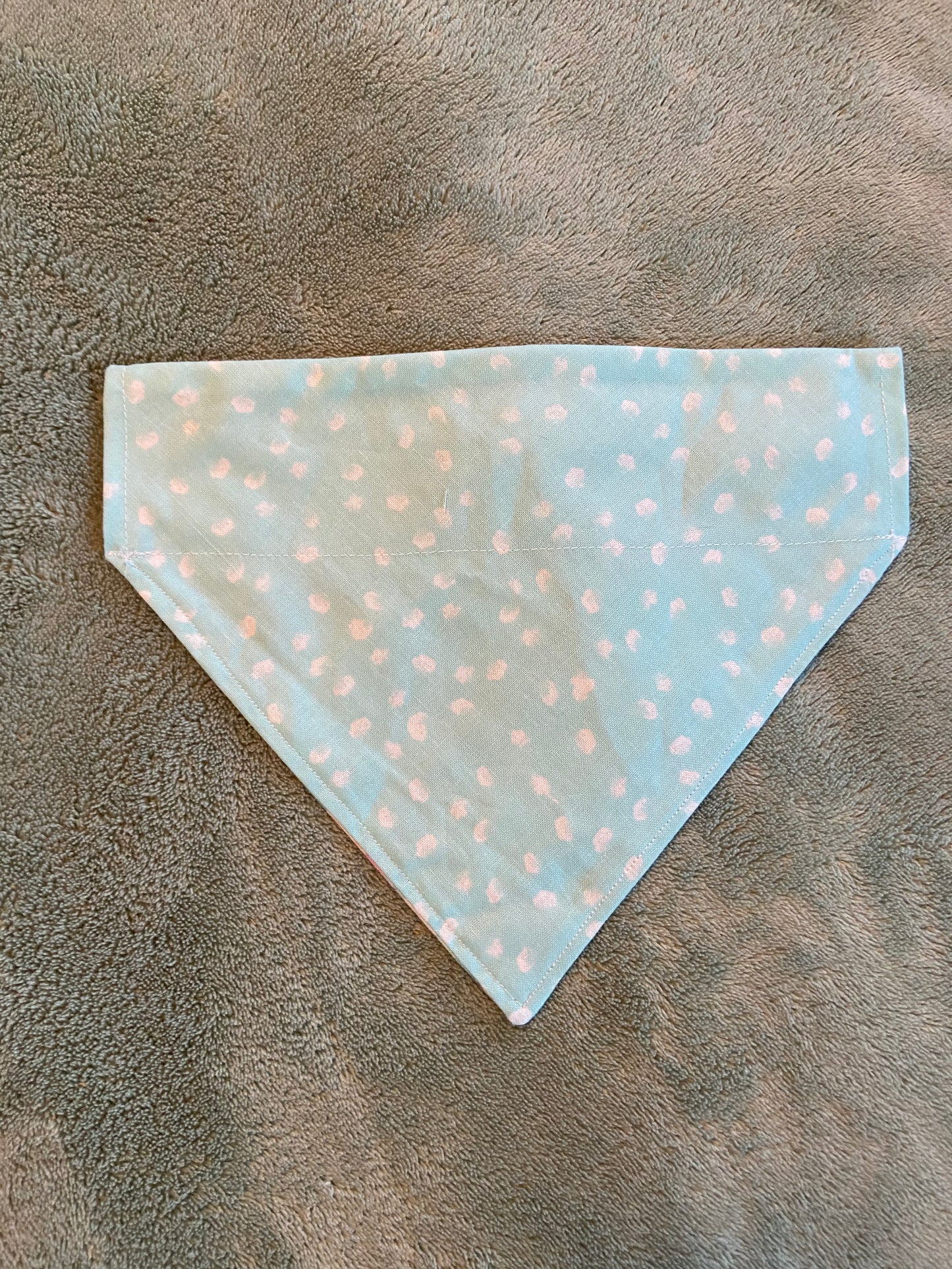 Medium Assorted Bandanas