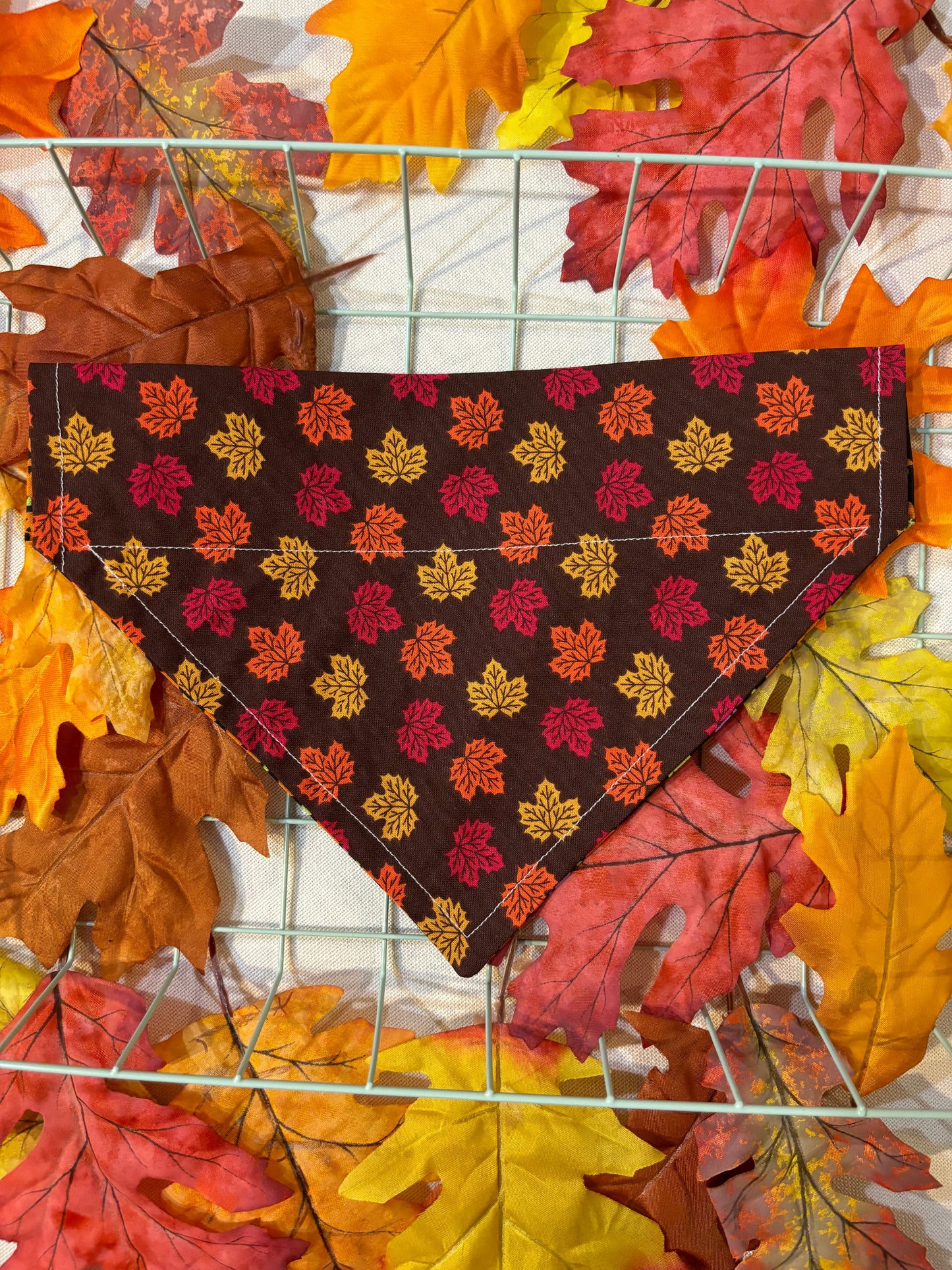 🎃Leafy Lantern Bandanas 🍁