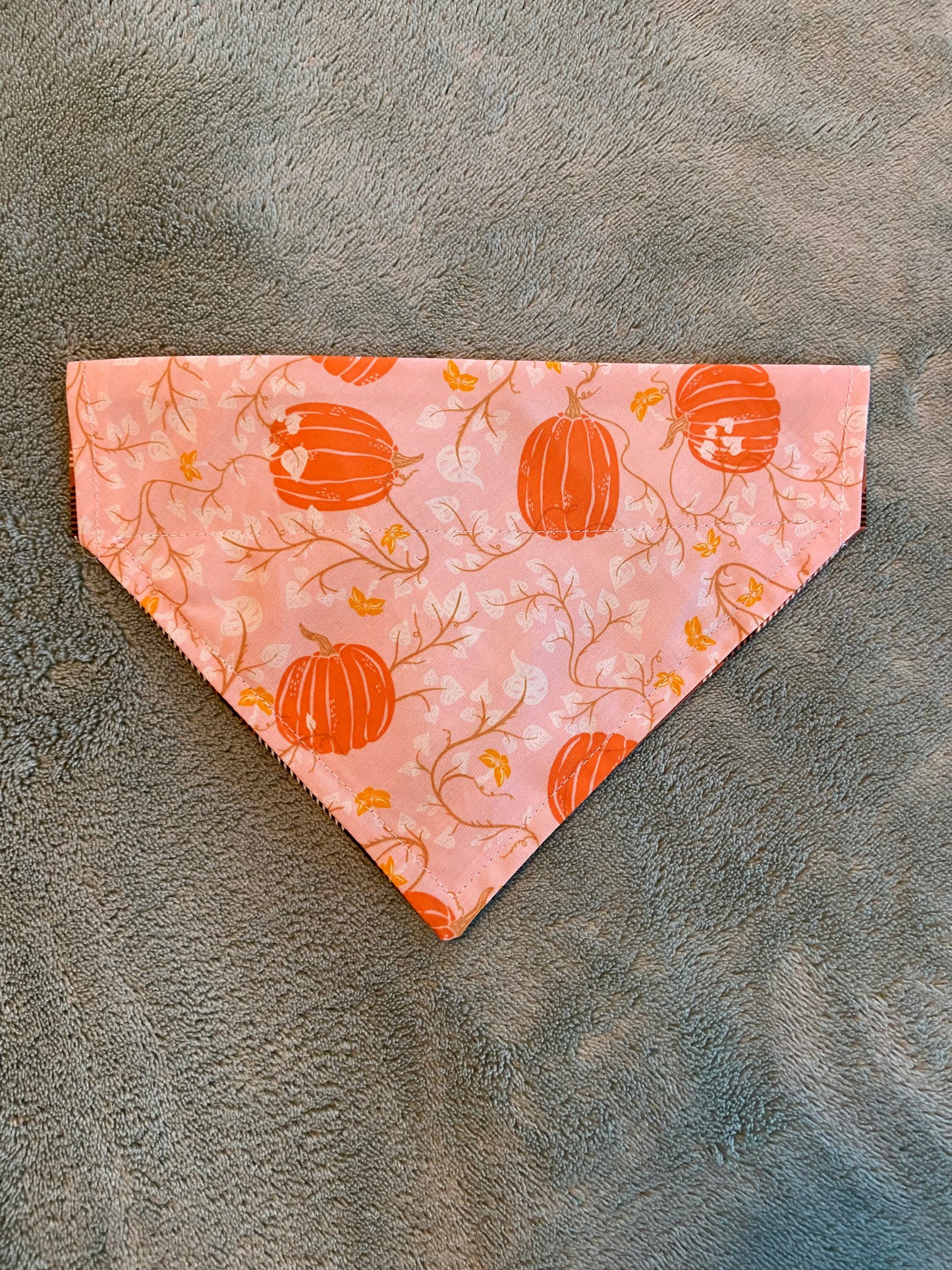 Last Chance Small Fall Bandanas