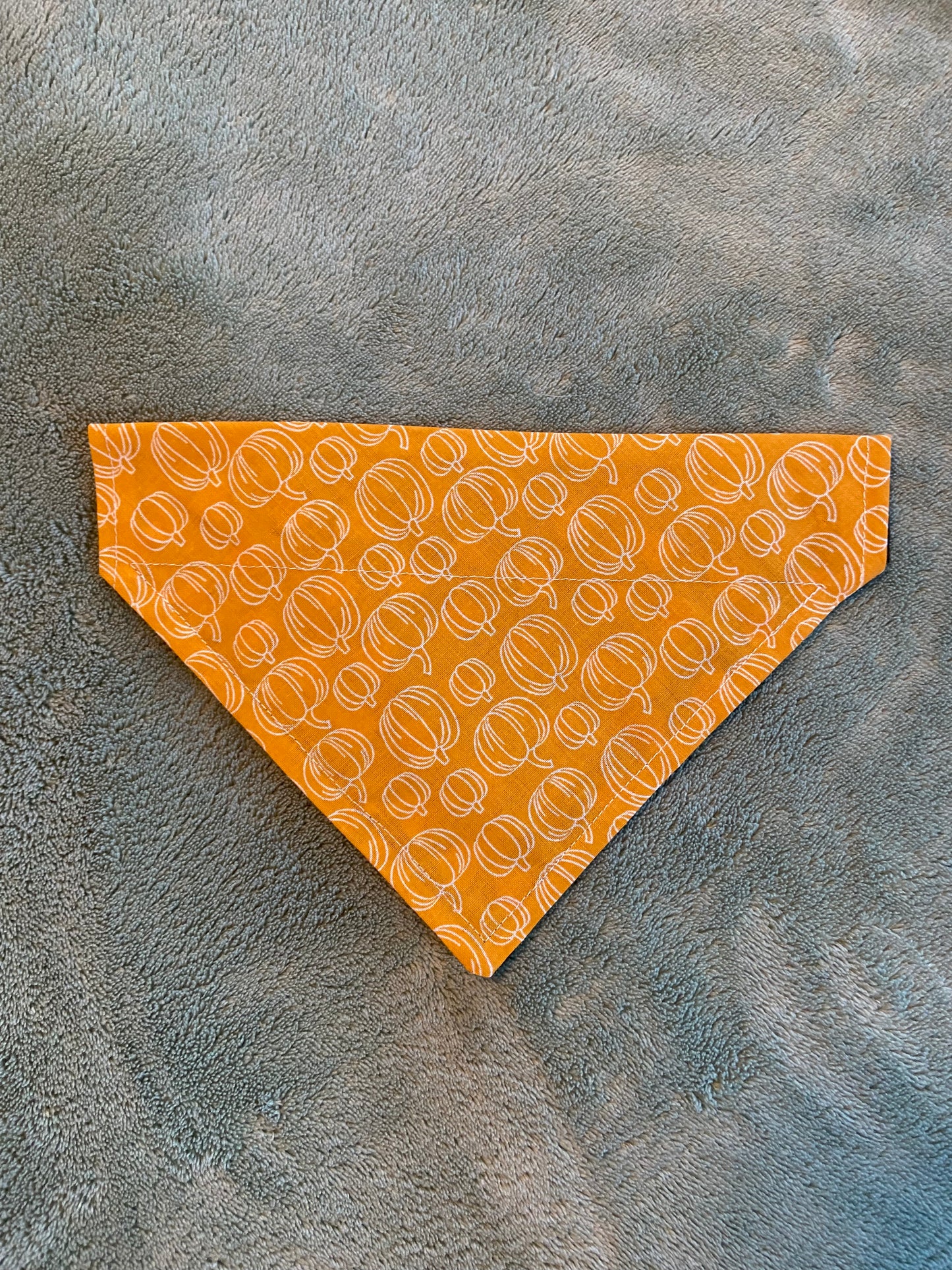 Last Chance Small Fall Bandanas