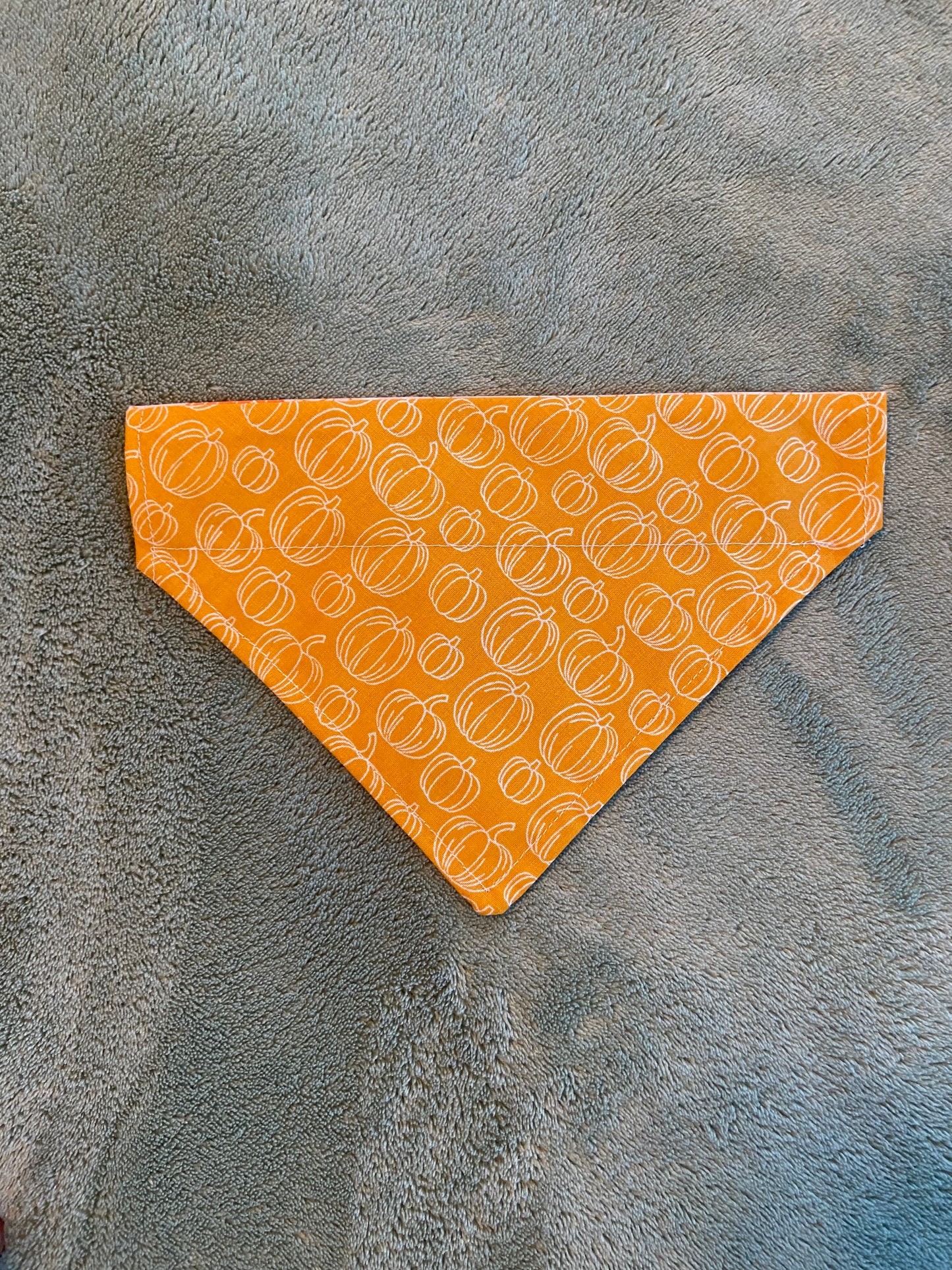 Last Chance Small Fall Bandanas