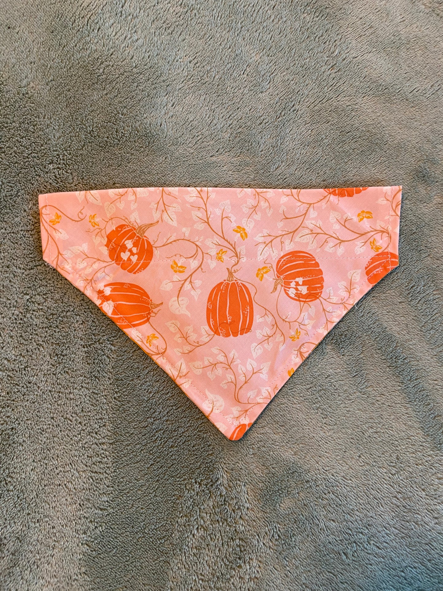 Last Chance Small Fall Bandanas