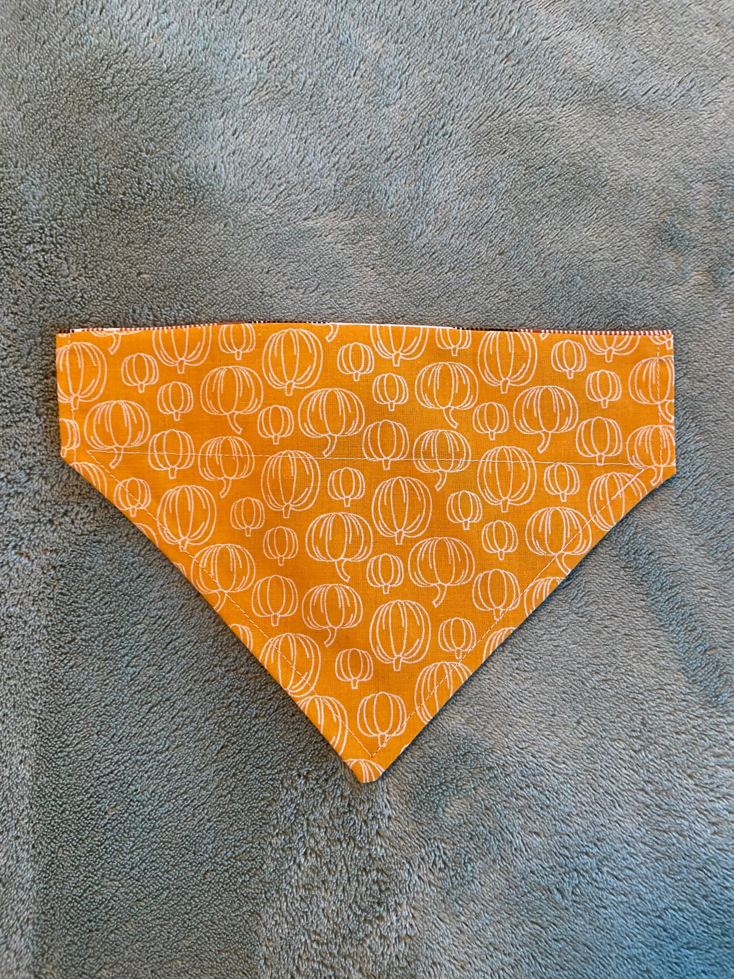 Last Chance Small Fall Bandanas